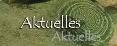 Aktuelles